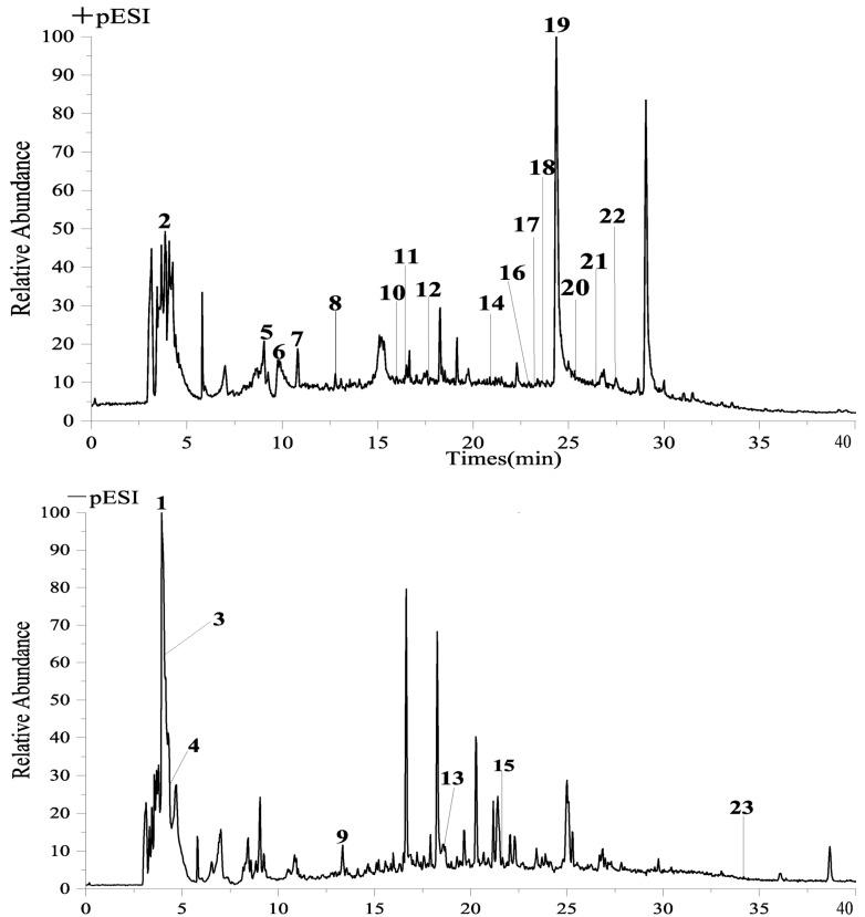 https://cdn.ncbi.nlm.nih.gov/pmc/blobs/cbea/10745890/69a82ab82593/molecules-28-08030-g002.jpg
