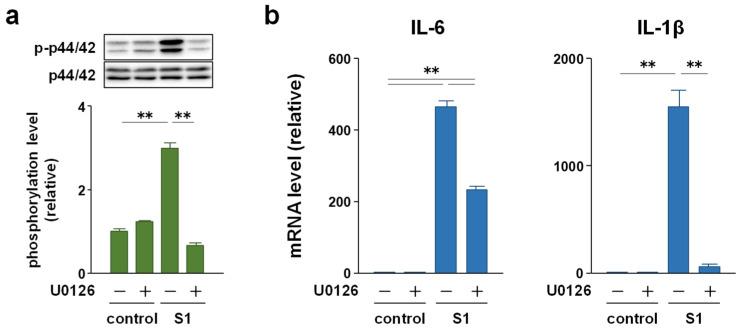 https://cdn.ncbi.nlm.nih.gov/pmc/blobs/cbf5/8540605/a2d0daff754d/molecules-26-06189-g005.jpg