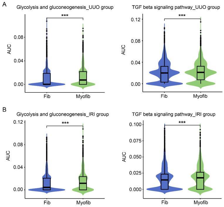 https://cdn.ncbi.nlm.nih.gov/pmc/blobs/cc04/10453197/1eaed97eb84a/cells-12-02081-g002.jpg