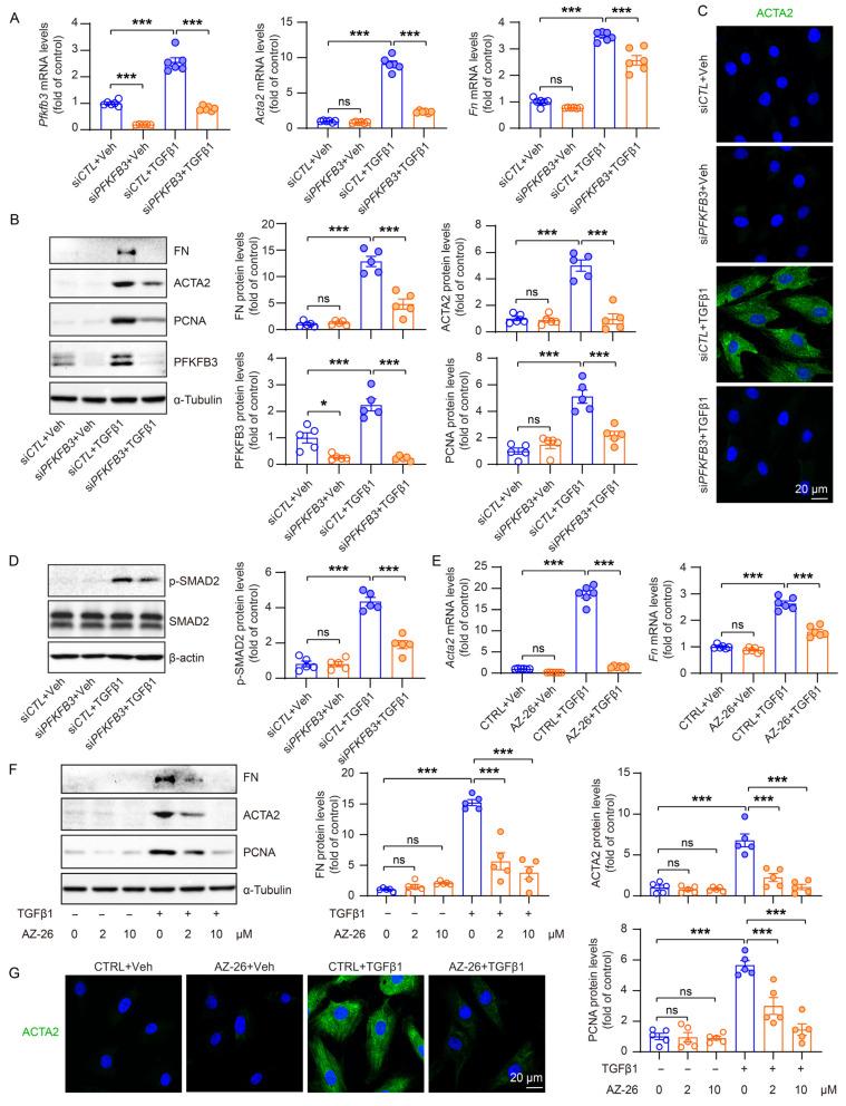 https://cdn.ncbi.nlm.nih.gov/pmc/blobs/cc04/10453197/22a7c3206b90/cells-12-02081-g008.jpg