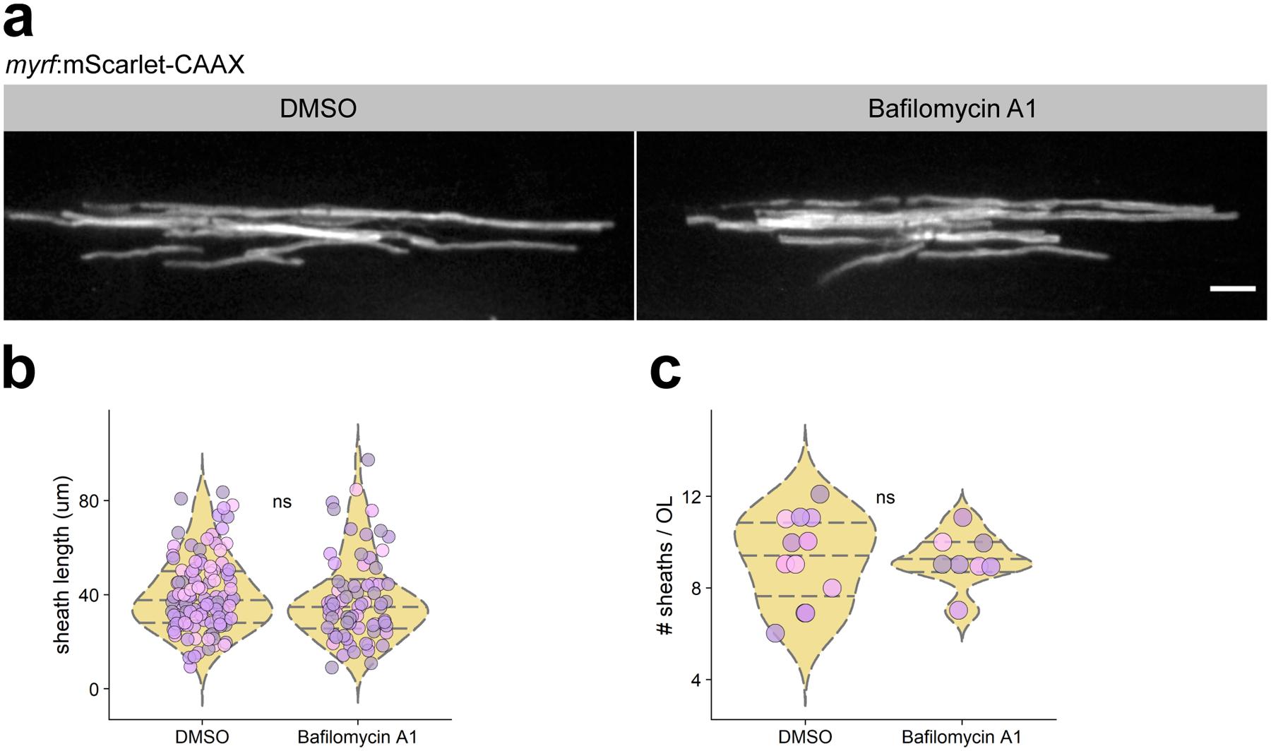 https://cdn.ncbi.nlm.nih.gov/pmc/blobs/cc10/7483351/8ffb63fbf96a/nihms-1594382-f0009.jpg