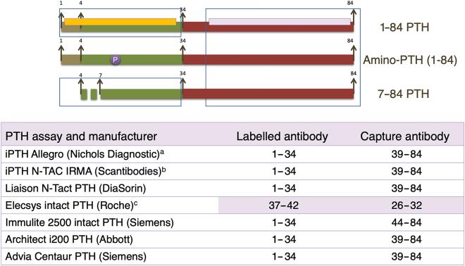 https://cdn.ncbi.nlm.nih.gov/pmc/blobs/cc28/10197288/cdfe383426c4/j_almed-2021-0047_fig_002.jpg