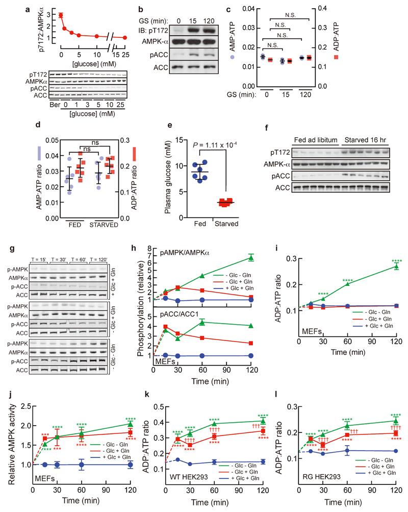 https://cdn.ncbi.nlm.nih.gov/pmc/blobs/cc64/5544942/ea1da9c7e6ca/emss-73130-f005.jpg