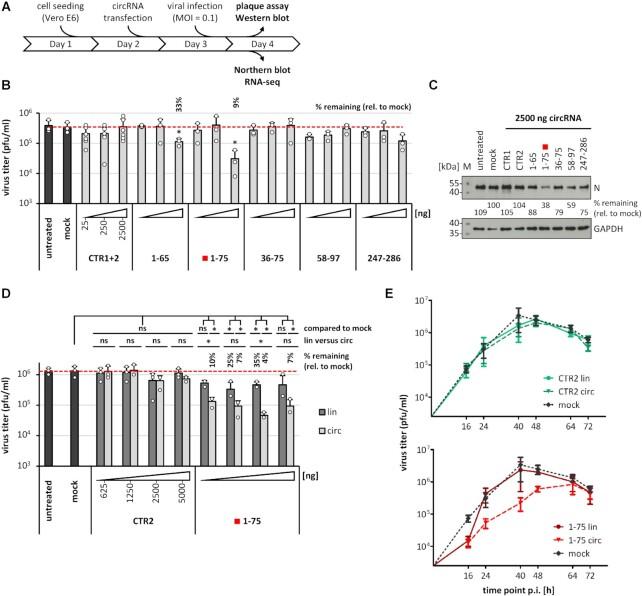 https://cdn.ncbi.nlm.nih.gov/pmc/blobs/cc6e/8643703/79a84cb49aa5/gkab1096fig3.jpg