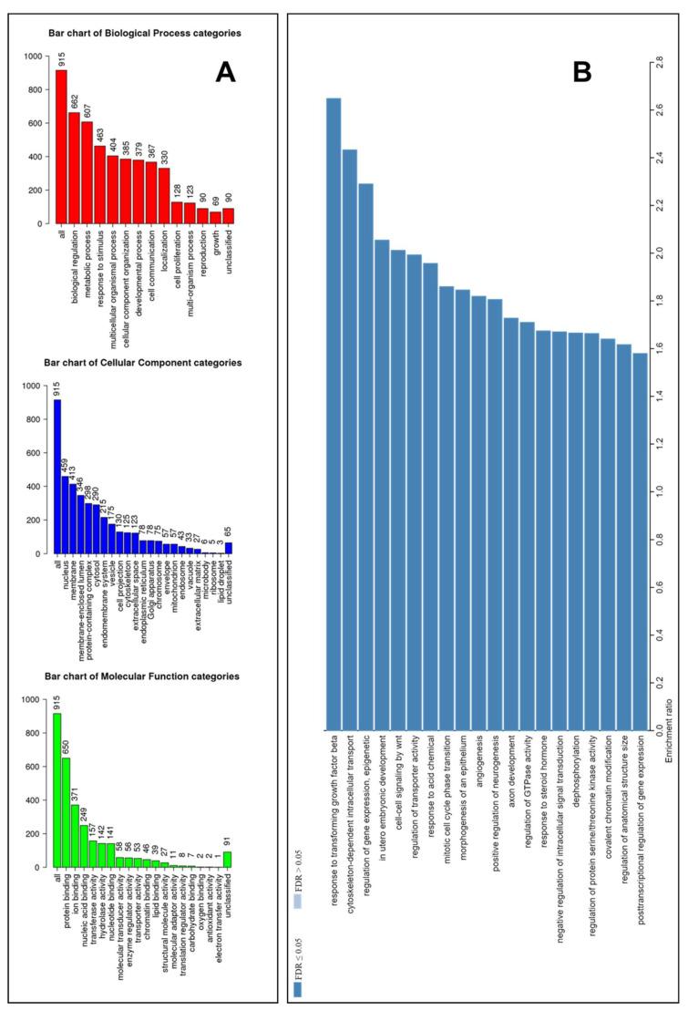 https://cdn.ncbi.nlm.nih.gov/pmc/blobs/cc77/9219665/4b09309fa117/biomedicines-10-01408-g004.jpg