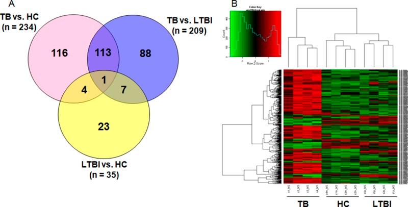 https://cdn.ncbi.nlm.nih.gov/pmc/blobs/cc7d/5762561/afa6ff103de7/oncotarget-08-112907-g001.jpg