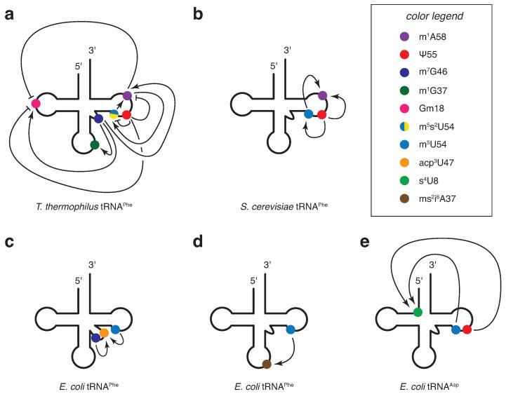 https://cdn.ncbi.nlm.nih.gov/pmc/blobs/cc82/10969862/82da3dfe060b/genes-15-00374-g003.jpg