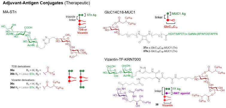 https://cdn.ncbi.nlm.nih.gov/pmc/blobs/cc83/11680293/4bbd2ea66122/vaccines-12-01320-g008.jpg