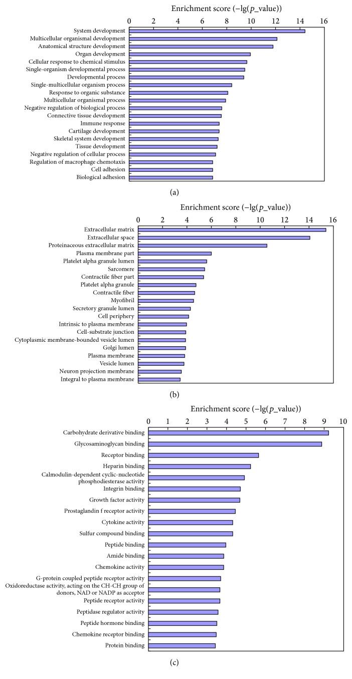 https://cdn.ncbi.nlm.nih.gov/pmc/blobs/cc9d/5425846/9befdc520617/BMRI2017-5045827.003.jpg