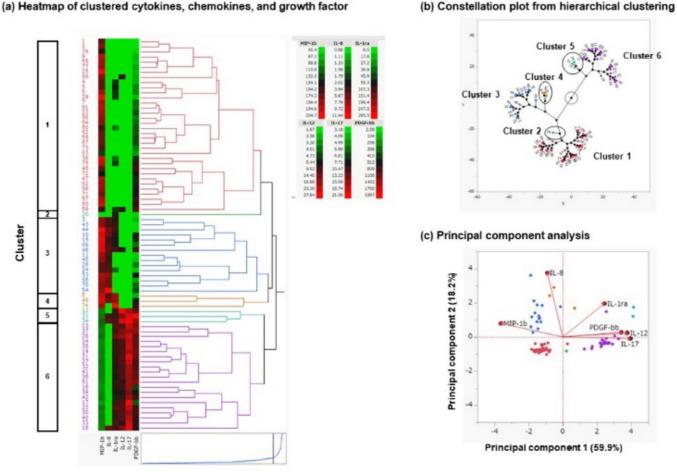 https://cdn.ncbi.nlm.nih.gov/pmc/blobs/cca2/11785682/7dcff5b9ce91/10549_2024_7492_Fig3_HTML.jpg