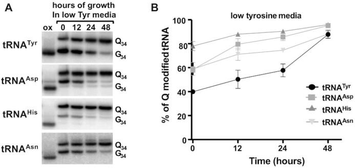 https://cdn.ncbi.nlm.nih.gov/pmc/blobs/ccaa/8682783/581cb97ed9d9/gkab1204fig5.jpg