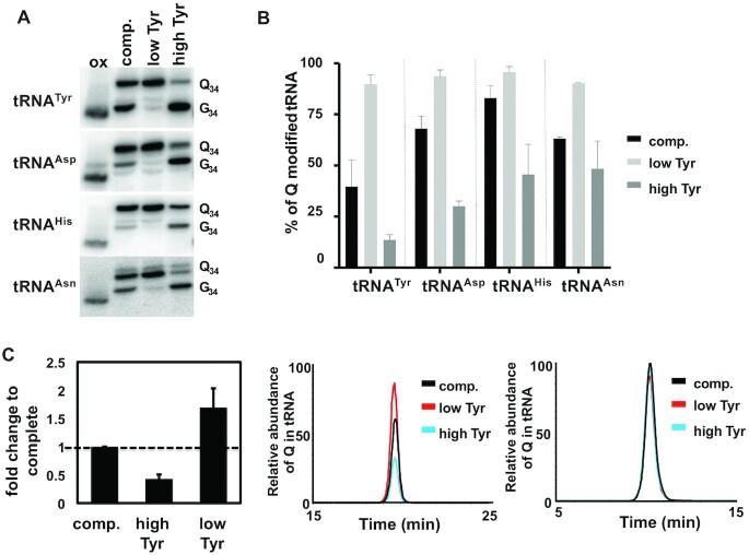 https://cdn.ncbi.nlm.nih.gov/pmc/blobs/ccaa/8682783/5ec795a648c7/gkab1204fig3.jpg