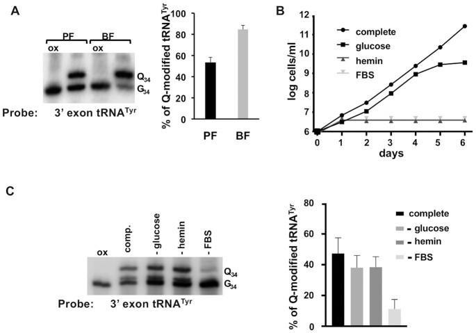 https://cdn.ncbi.nlm.nih.gov/pmc/blobs/ccaa/8682783/d2949883f884/gkab1204fig1.jpg