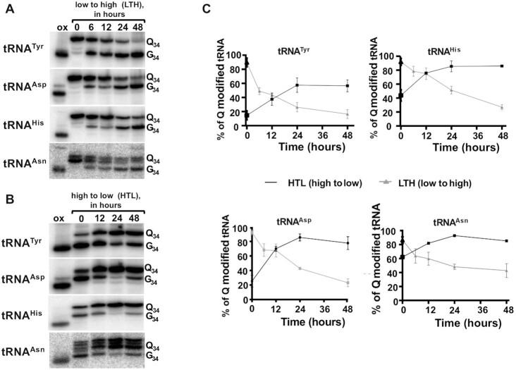 https://cdn.ncbi.nlm.nih.gov/pmc/blobs/ccaa/8682783/d89d189b8908/gkab1204fig7.jpg