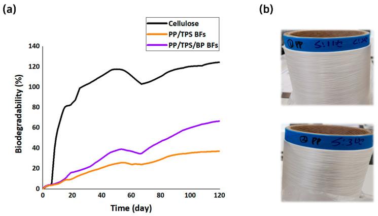 https://cdn.ncbi.nlm.nih.gov/pmc/blobs/ccbb/11859704/e6c9e7337948/polymers-17-00527-g008.jpg