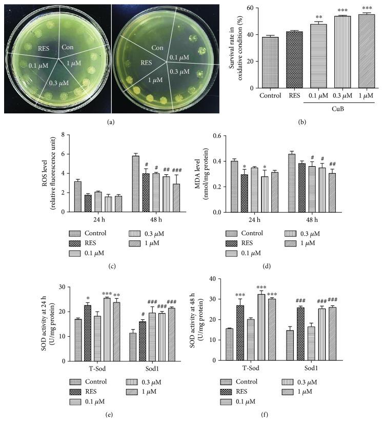 https://cdn.ncbi.nlm.nih.gov/pmc/blobs/cccb/6589324/a66371b32c5d/OMCL2019-4517091.003.jpg