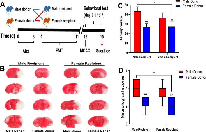 https://cdn.ncbi.nlm.nih.gov/pmc/blobs/ccd5/9531521/8bd09f383dd2/12974_2022_2606_Fig3_HTML.jpg