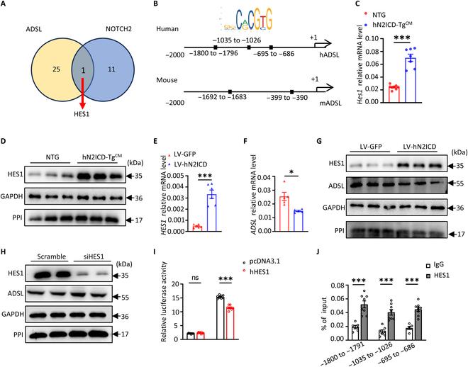https://cdn.ncbi.nlm.nih.gov/pmc/blobs/ccd7/11913782/246ca90add61/research.0635.fig.004.jpg