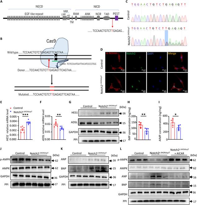 https://cdn.ncbi.nlm.nih.gov/pmc/blobs/ccd7/11913782/2e6353e6bef5/research.0635.fig.007.jpg