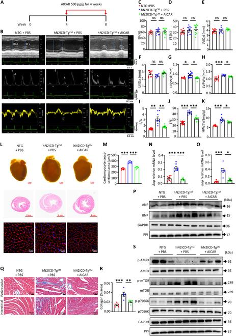 https://cdn.ncbi.nlm.nih.gov/pmc/blobs/ccd7/11913782/4837fff72f9f/research.0635.fig.006.jpg
