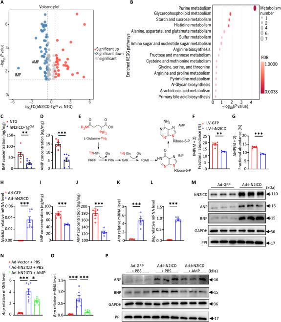 https://cdn.ncbi.nlm.nih.gov/pmc/blobs/ccd7/11913782/da9e49fb2e24/research.0635.fig.002.jpg