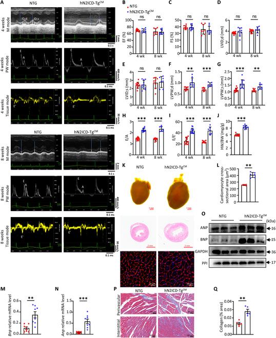 https://cdn.ncbi.nlm.nih.gov/pmc/blobs/ccd7/11913782/f02d4c876983/research.0635.fig.001.jpg