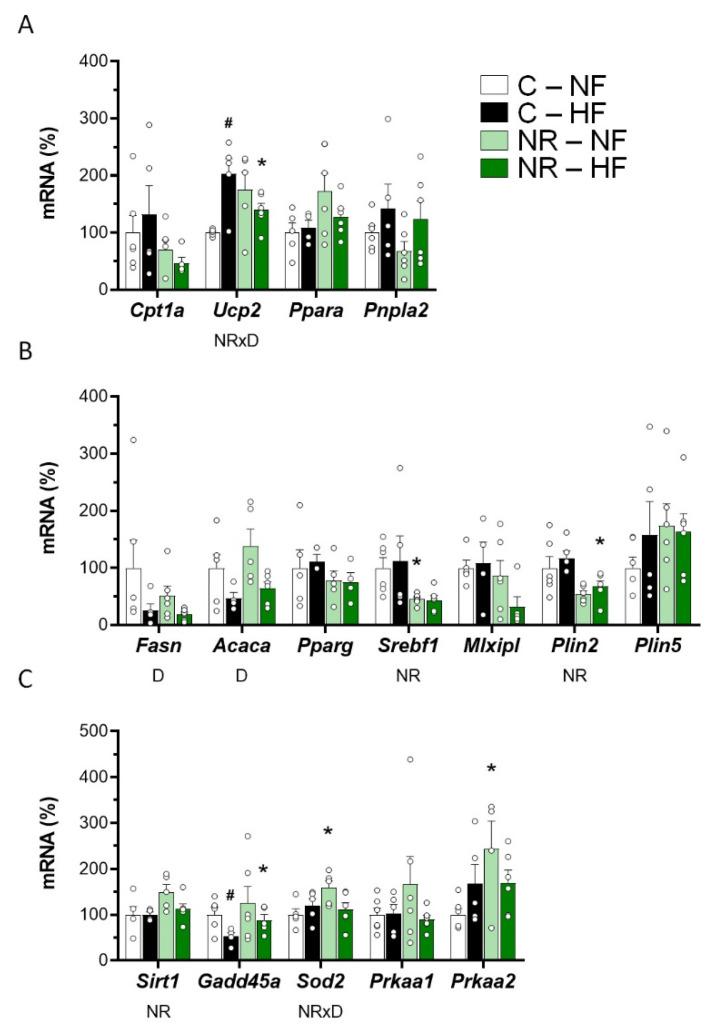 https://cdn.ncbi.nlm.nih.gov/pmc/blobs/ccde/9182637/e409d4beae50/nutrients-14-02259-g005.jpg