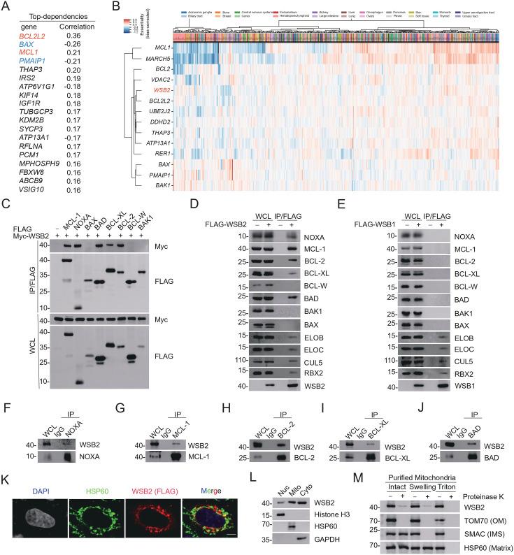 https://cdn.ncbi.nlm.nih.gov/pmc/blobs/ccee/12286604/bbebaf54035f/elife-98372-fig1.jpg