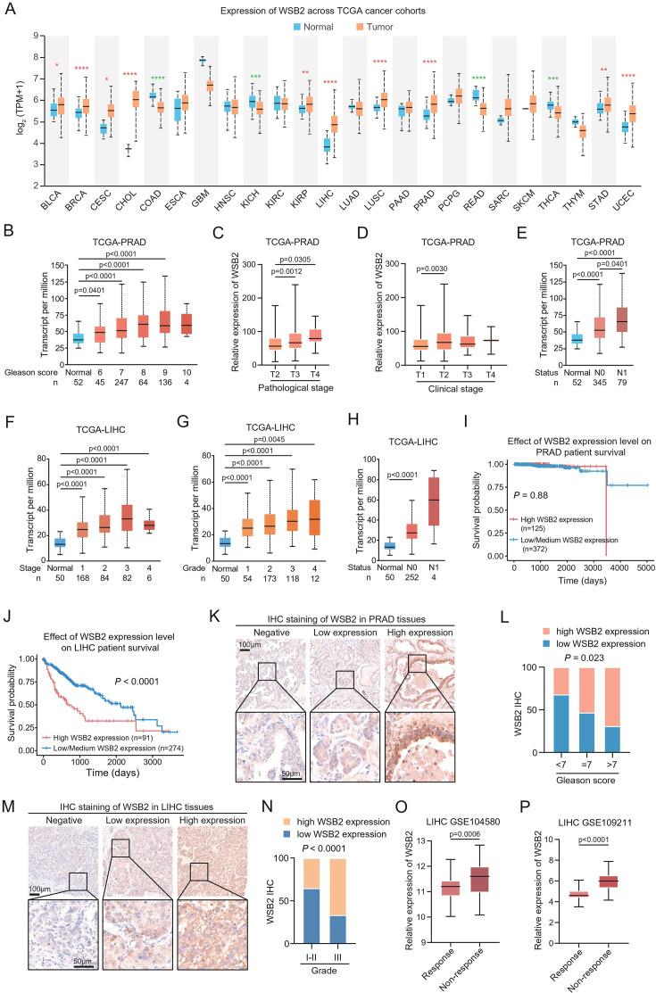 https://cdn.ncbi.nlm.nih.gov/pmc/blobs/ccee/12286604/cc9015403e3d/elife-98372-fig7.jpg