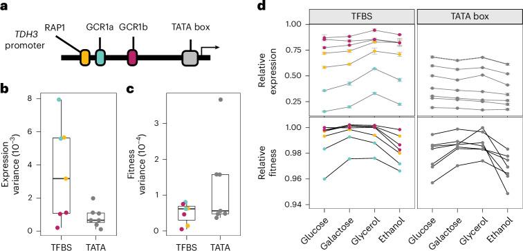 https://cdn.ncbi.nlm.nih.gov/pmc/blobs/cd02/11618099/50da6020d517/41559_2024_2582_Fig4_HTML.jpg