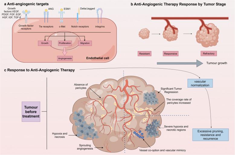 https://cdn.ncbi.nlm.nih.gov/pmc/blobs/cd08/12007322/117b8a629088/40364_2025_779_Fig5_HTML.jpg