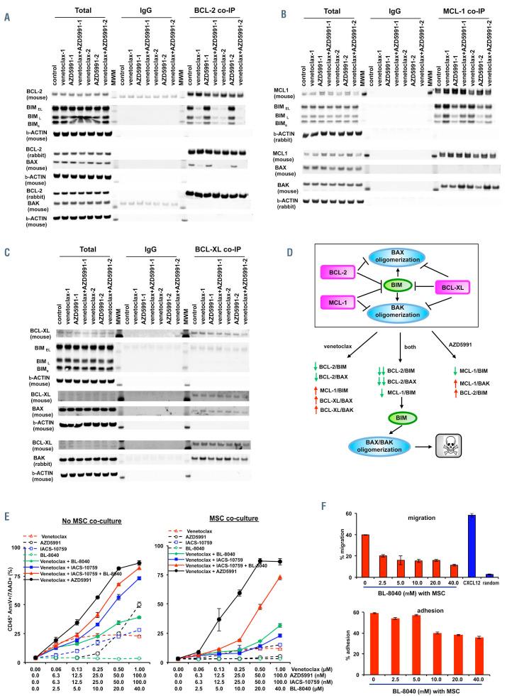 https://cdn.ncbi.nlm.nih.gov/pmc/blobs/cd10/8719086/e1b5724bd82f/10758.fig4.jpg