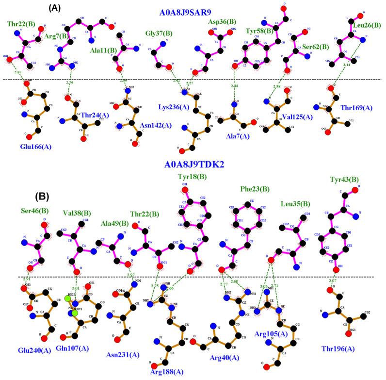 https://cdn.ncbi.nlm.nih.gov/pmc/blobs/cd18/12195138/6fe01a17873e/microorganisms-13-01271-g004a.jpg