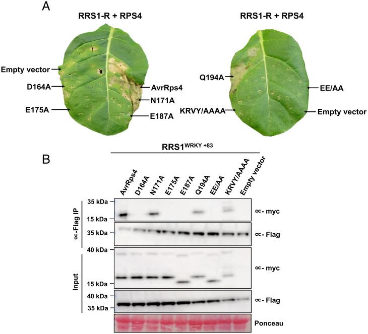 https://cdn.ncbi.nlm.nih.gov/pmc/blobs/cd1b/8685902/0b311fc3abb0/pnas.202113996fig04.jpg