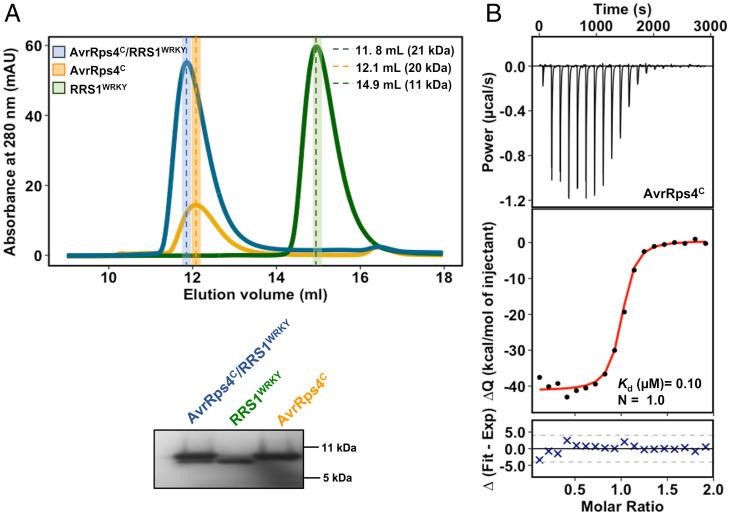 https://cdn.ncbi.nlm.nih.gov/pmc/blobs/cd1b/8685902/2c05dc2acd2d/pnas.202113996fig01.jpg