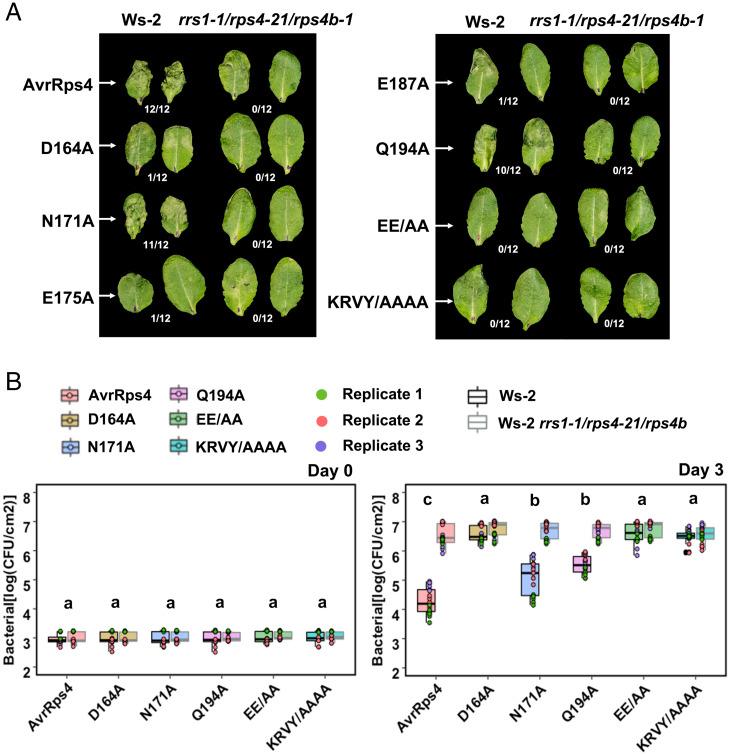 https://cdn.ncbi.nlm.nih.gov/pmc/blobs/cd1b/8685902/2edea3e91cd4/pnas.202113996fig05.jpg
