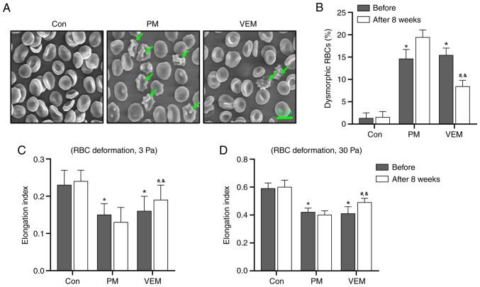 https://cdn.ncbi.nlm.nih.gov/pmc/blobs/cd1c/9214592/27ca4cb50ee7/etm-24-01-11407-g00.jpg