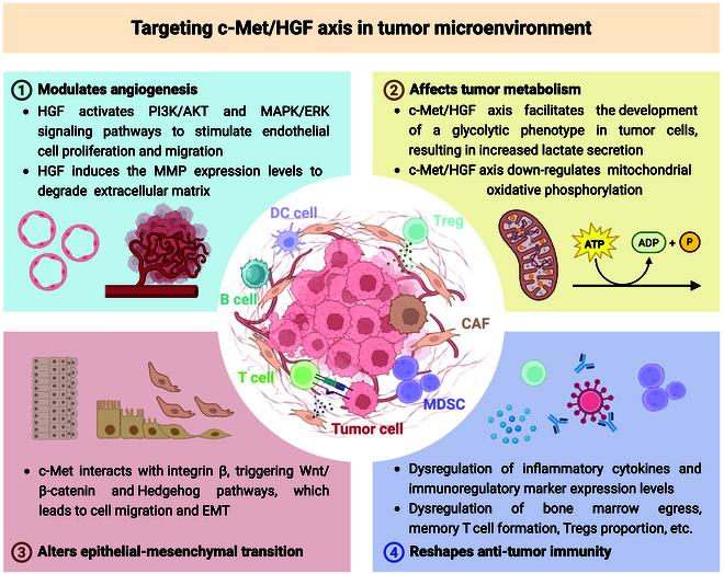 https://cdn.ncbi.nlm.nih.gov/pmc/blobs/cd1e/12180671/74a0055cb385/research.0747.fig.004.jpg