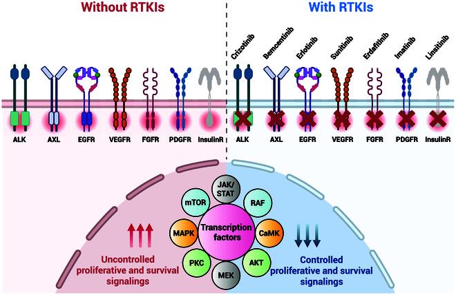 https://cdn.ncbi.nlm.nih.gov/pmc/blobs/cd1e/12180671/c5e7fc304e09/research.0747.fig.003.jpg