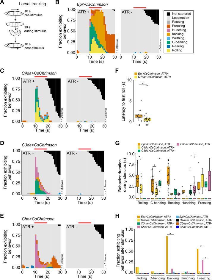 https://cdn.ncbi.nlm.nih.gov/pmc/blobs/cd2d/12068870/1b774016da14/elife-95379-fig2.jpg