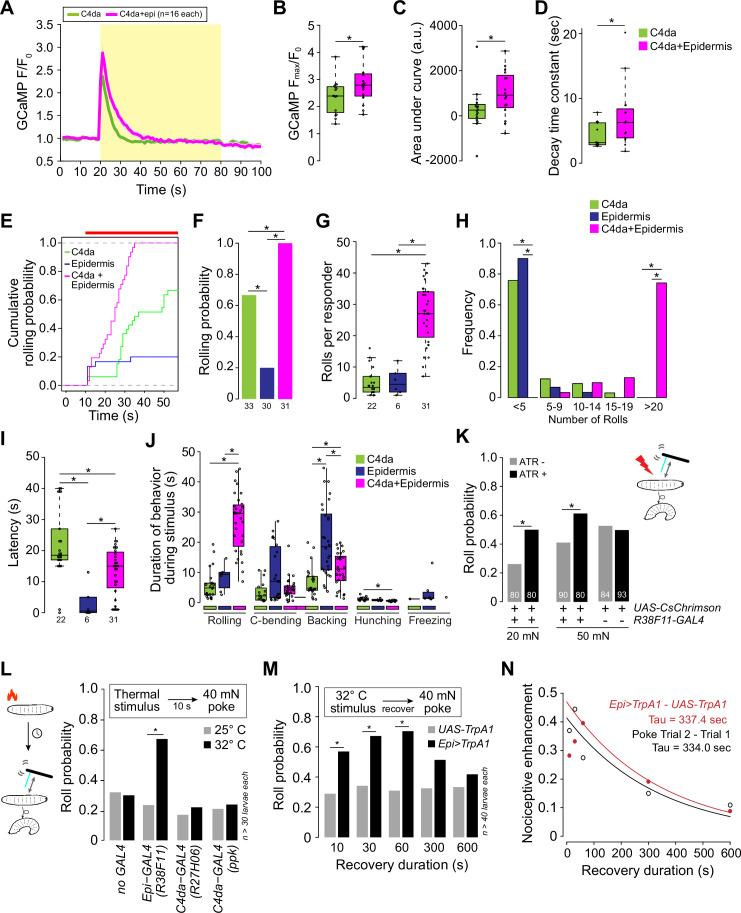 https://cdn.ncbi.nlm.nih.gov/pmc/blobs/cd2d/12068870/1e2e36b15e56/elife-95379-fig4.jpg