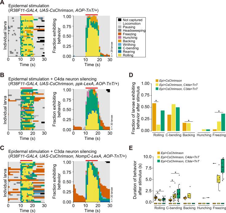 https://cdn.ncbi.nlm.nih.gov/pmc/blobs/cd2d/12068870/5ef949901533/elife-95379-fig3-figsupp2.jpg