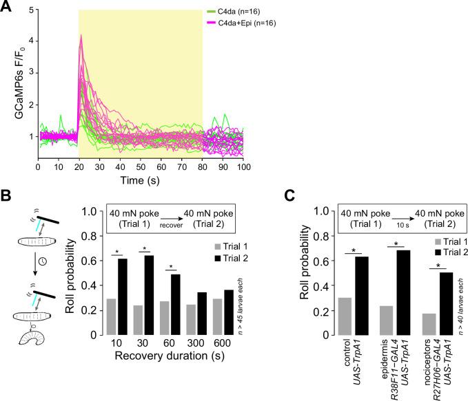 https://cdn.ncbi.nlm.nih.gov/pmc/blobs/cd2d/12068870/beac5814d6c5/elife-95379-fig4-figsupp1.jpg