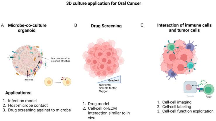 https://cdn.ncbi.nlm.nih.gov/pmc/blobs/cd3a/10487272/6ab5786aa21d/cancers-15-04266-g003.jpg