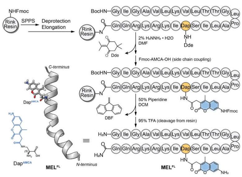 https://cdn.ncbi.nlm.nih.gov/pmc/blobs/cd3c/9318513/f21abacbf381/toxins-14-00428-g001.jpg