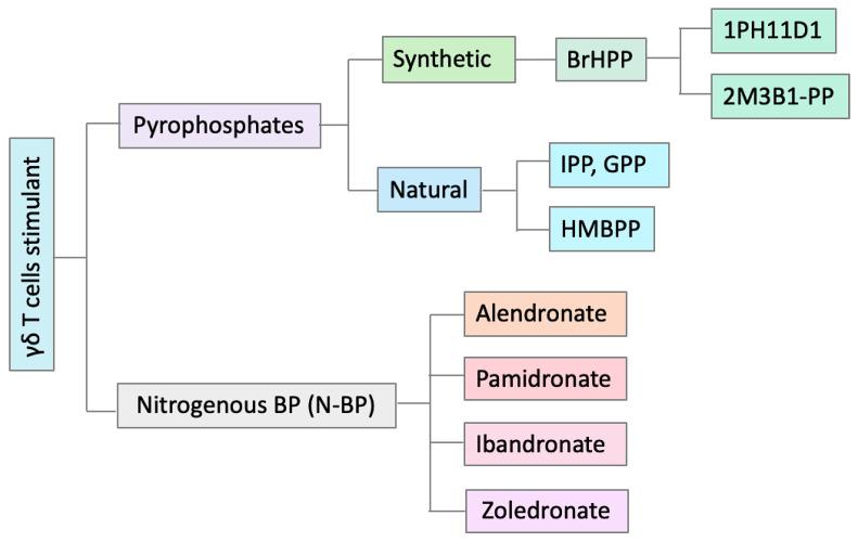 https://cdn.ncbi.nlm.nih.gov/pmc/blobs/cd3e/7290982/821e51a8be2a/cells-09-01305-g002.jpg