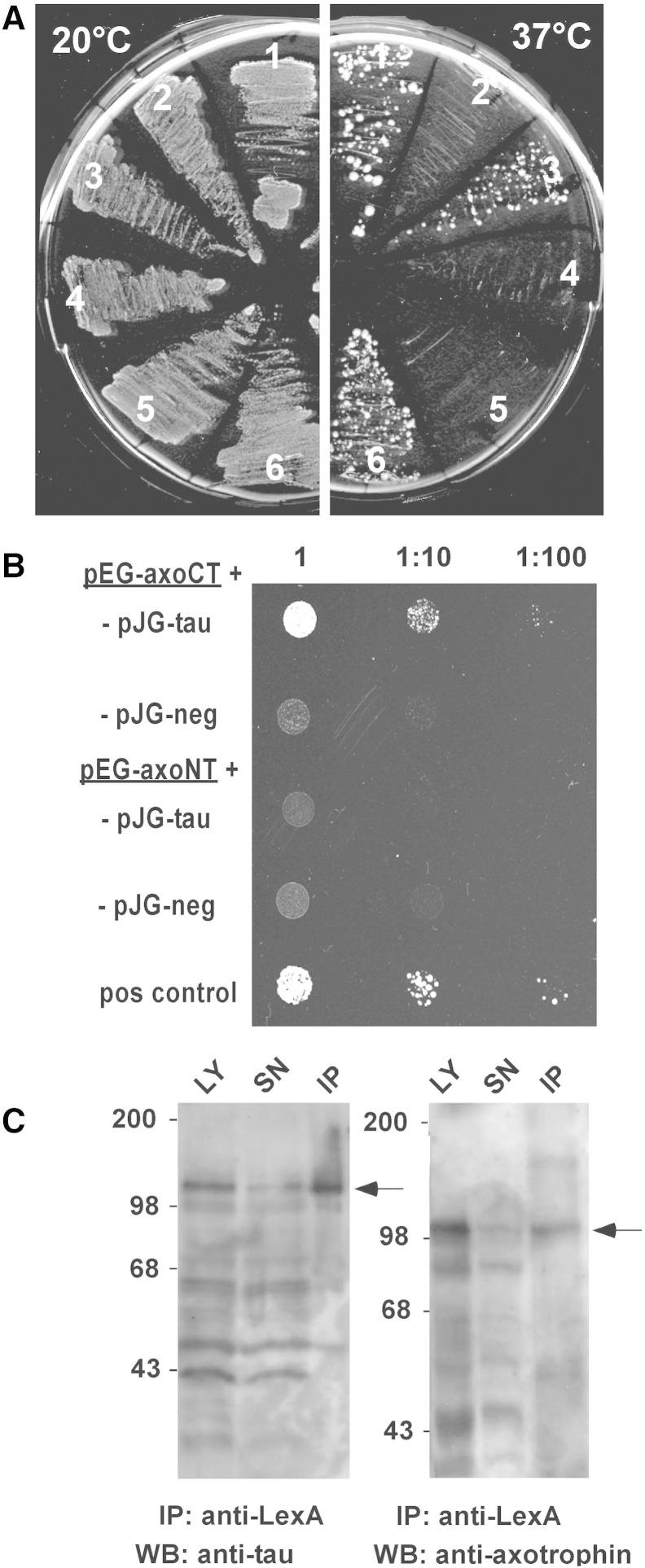 https://cdn.ncbi.nlm.nih.gov/pmc/blobs/cd5b/4311138/dcbe1f404943/gr1.jpg