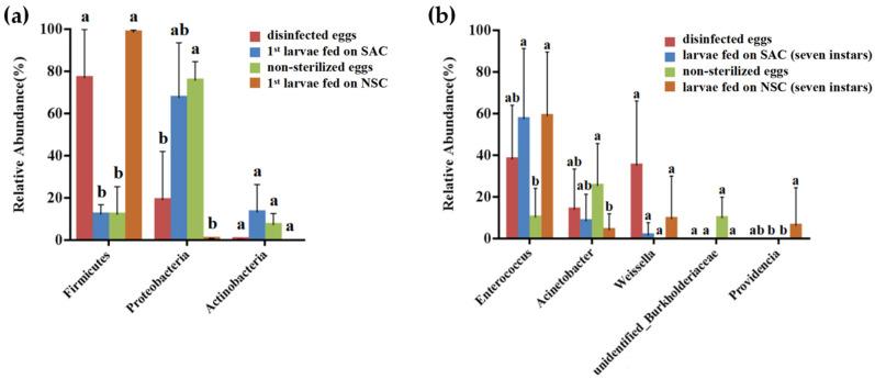 https://cdn.ncbi.nlm.nih.gov/pmc/blobs/cd6f/8470732/fc0ae71fe63c/microorganisms-09-01860-g004.jpg