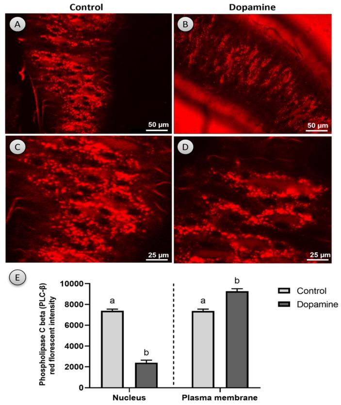 https://cdn.ncbi.nlm.nih.gov/pmc/blobs/cda6/8533061/6d0342c0d58a/biology-10-00983-g007.jpg