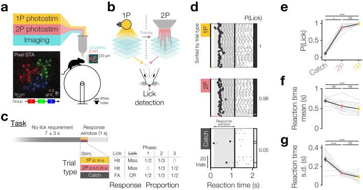 https://cdn.ncbi.nlm.nih.gov/pmc/blobs/cda7/7695456/0b7550da8774/elife-58889-fig1.jpg